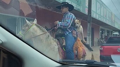 Cachorro é flagrado passeando a cavalo em Goiás.