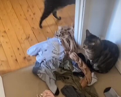 Luna em frente a pilha de roupas que juntou sozinha.