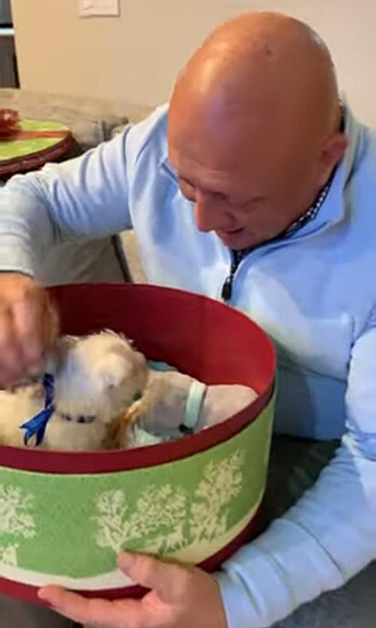 O homem está emocionado com o cachorro dentro da caixa de presentes.