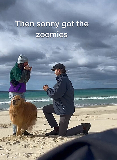 Sonny corre pela praia de felicidade