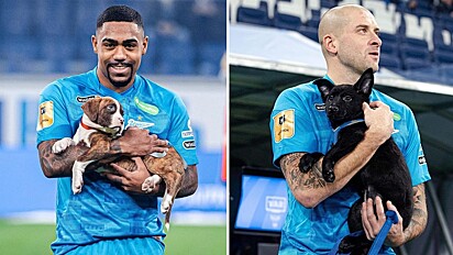 Time de futebol russo entra em campo com cães em campanha pelo incentivo a adoção de pets.