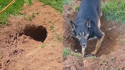 Maia cavou um grande buraco no jardim.