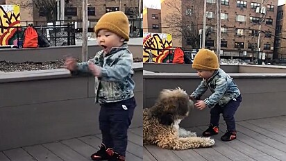 Bebê se impressiona ao conhecer um cachorro pela primeira vez na vida.