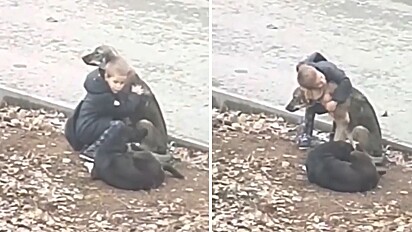 Menino emociona web ao abraçar dois cachorros abandonados na rua