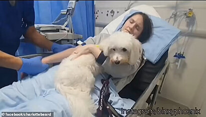 Charlotte deitada na cama do hospital com o cão terapia.