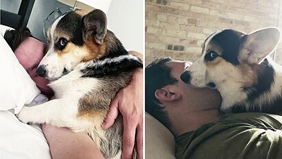 Cachorro tira o fôlego de quem ele gosta por sua mania de dormir de rostinho colado.