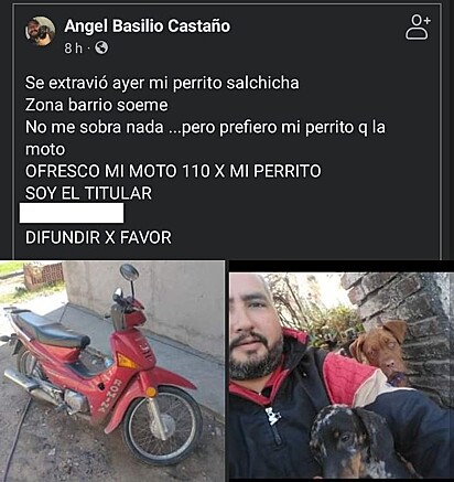 Post de facebook comunicando o desaparecimento do cachorro.