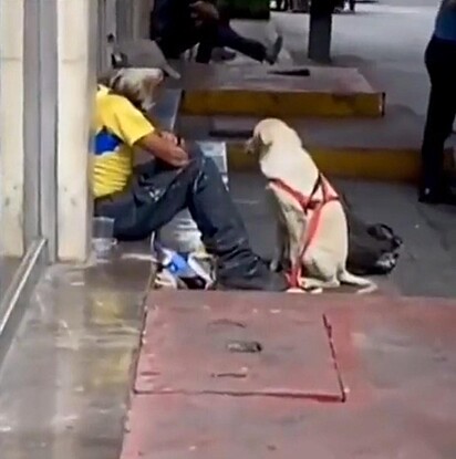 O cachorrinho está em frente ao homem que se encontra sentado no chão.