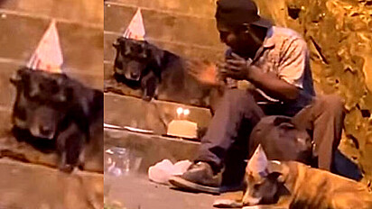 Vídeo viraliza após morador de rua cantar parabéns e dividir bolo com cães.