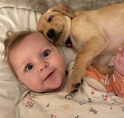 A cachorrinha está abraçada ao bebê.