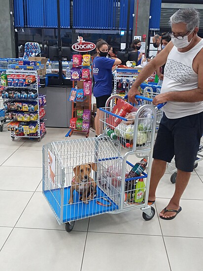 Antonio está segurando o carinho de compras com a cachorrinha