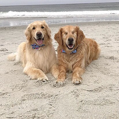 A dupla está na praia.
