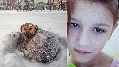 Foto do cão: ilustrativa. Menina que sobreviveu a baixas temperaturas por abraçar cão de rua.