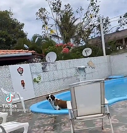 A São Bernardo foi pega no flagra na piscina.