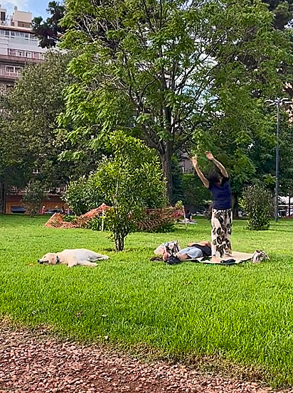 O canino está deitado perto de uma mulher que está fazendo yoga