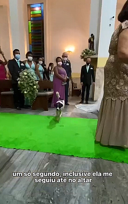 A canina entrou dentro da igreja