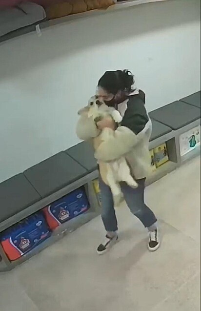 Uma jovem está abraçando e beijando um cachorro.
