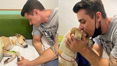 Delegado Bruno Lima visita Pandora na clínica veterinária em que está hospitalizada.