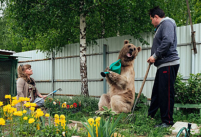 Stepan regando o jardim ao lado do seus donos.