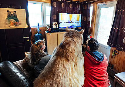 Stepan assistindo televisão com seus donos.