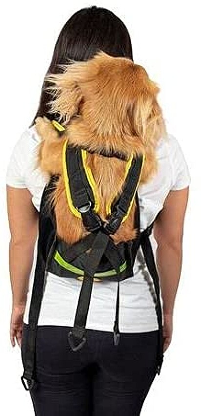 Comprar mochila adaptada para levar cachorro de bike