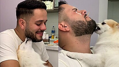 Cachorra adora dar mordidinha na barba do sobrinho da tutora.