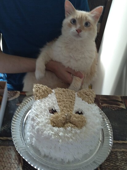 Tom em frente ao bolo de aniversário.