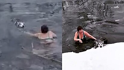 Mulher pula em rio congelado para salvar cão.