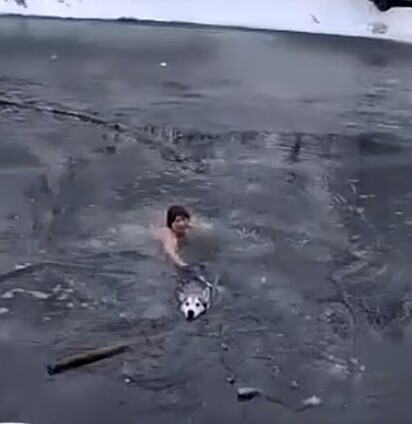 Mulher pula no rio para resgatar cachorro preso no gelo.