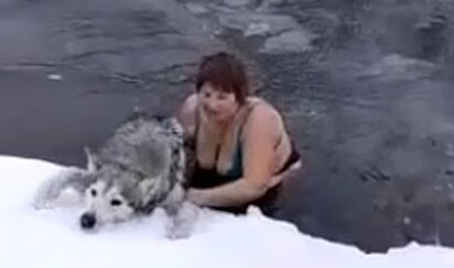 A mulher ajudando o cãozinho a sair do rio.