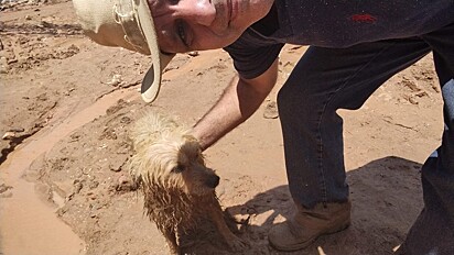 Um homem está ajudando um cão na lama.