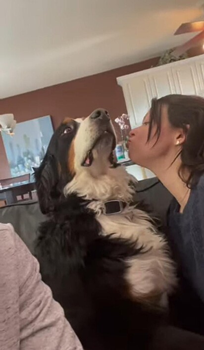 A cadela está se afastando da jovem que tenta beijá-la.
