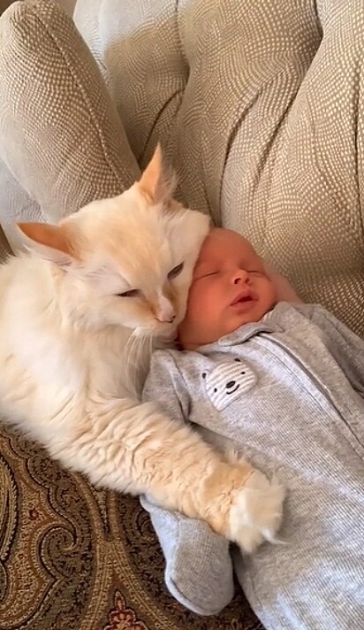 O gatinho aconchegado no bebê.