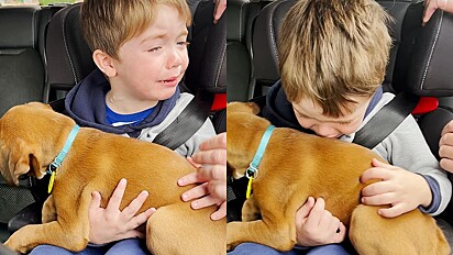 Criança chora ao segurar o seu cão no colo pela primeira vez.
