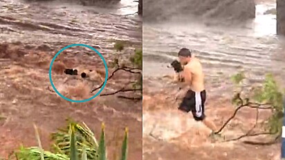 Homem enfrenta mau tempo e resgata cachorro isolado pela enchente.