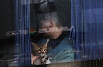 Um cidadão está com um felino no colo dentro de um ônibus.