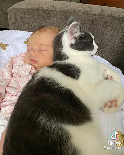 O gatinho está deitado em cima do bebê.