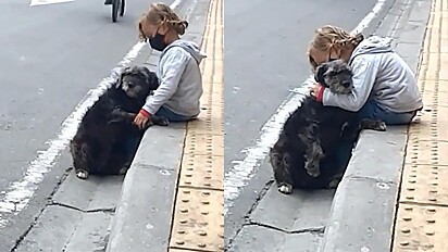 A cachorrinha adora esperar pelo menino do lado de fora da escola.
