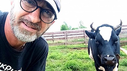 O fotógrafo está ao lado de uma vaca.