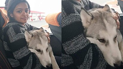 Arya viajou até a Romênia com seu cão. 