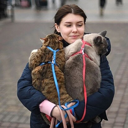 Uma mulher está com dois gatos no colo.