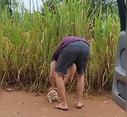 O cãozinho está sendo resgatado.