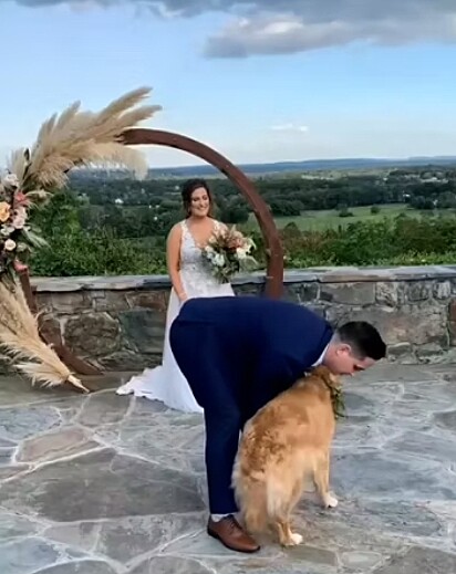Momento em que o noivo levanta o cão do chão para segurá-lo.