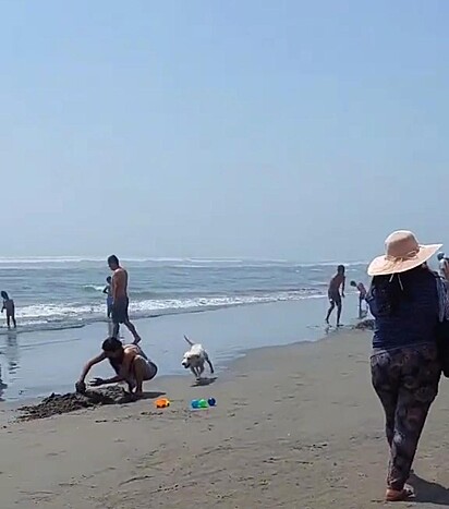 O cachorro está indo em direção a moça agachada na areia.