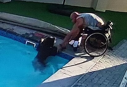 Darren ajudando o cão a sair da piscina. 