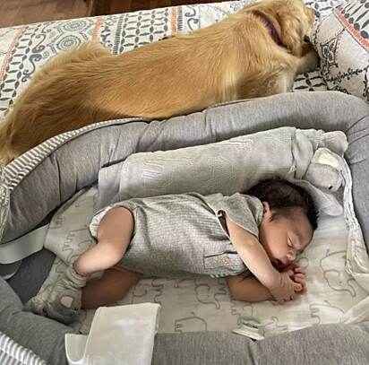 Luna está dormindo ao lado da bebezinha.