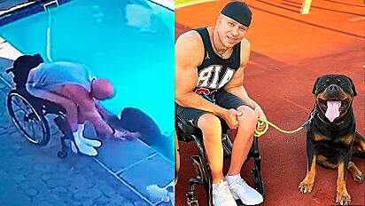 Cão rottweiler cai na piscina e é resgatado pelo seu dono paraplégico.