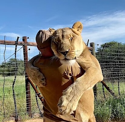 Humano e leoa estão se abraçando.