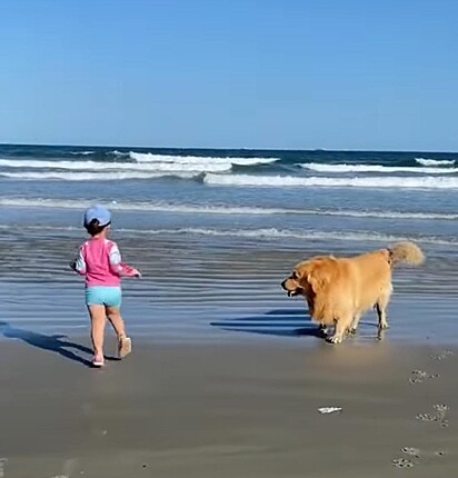 O cão está na praia com a família.