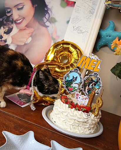 Mel está lambendo a cobertura do bolo.